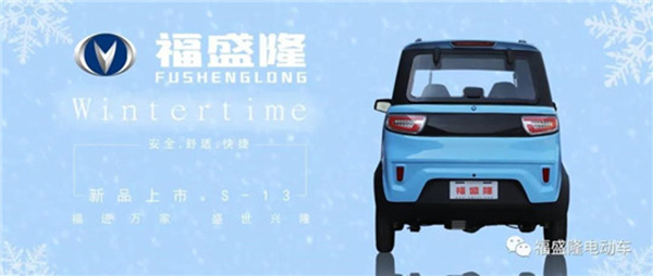 Shandong Fushenglong Electric Car Manufacturer