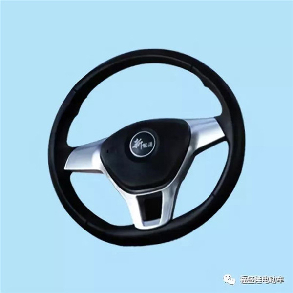 Fushenglong-Electric-Car-Brand