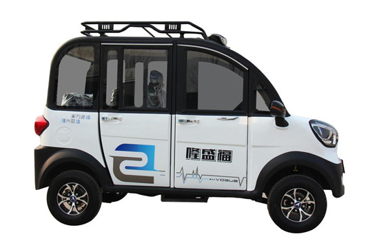 Fushenglong New Energy Vehicle