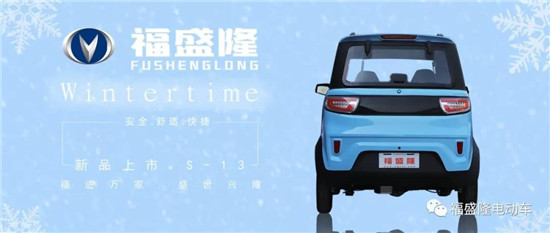 Shandong Fushenglong electric car manufacturer